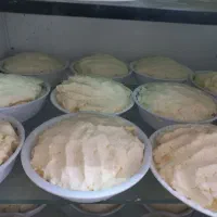 فروش تک وعمده|عمده‌فروشی|گلوگاه بابل (گلیا), |دیوار