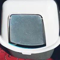 خانه خاک مسقف در دار گربه+لوازم گربه|لوازم جانبی حیوانات|قم, قم نو|دیوار