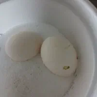 تخم مرغ چینی