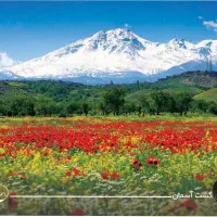 فروش-406-متر-زمین-سند-دار-در-سرعین