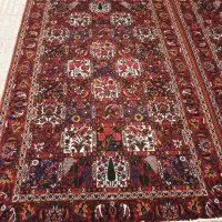 قالی دست بافت چالشتر|فرش|شهرکرد, |دیوار