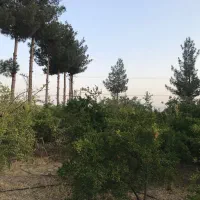 باغ خوش جا جهت تجاری سازی ومسکونی یا ویلاصالح اباد|فروش دفتر صنعتی، کشاورزی، تجاری|نجف‌آباد, شهرک صنعتی نجف آباد|دیوار