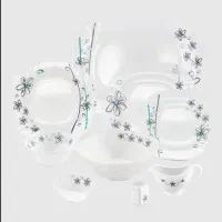 سرویس غذاخوری 40پارچه و زودپزبرقی ایوولی