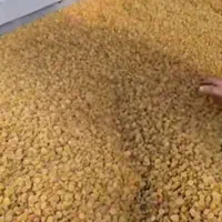 کشمش پلویی ملایر|عمدهفروشی|تهران, امیریه|دیوار