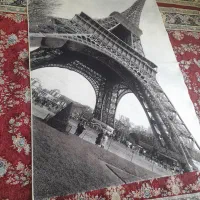فرش 6 متری  و یک عدد فرش ۴ متری|فرش|نسیم‌شهر, |دیوار