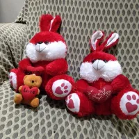 پک قرمز زیبا