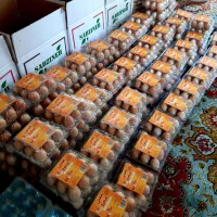 تخم مرغ محلی گلپایگانی اصل|خوردنی و آشامیدنی|خرامه, |دیوار