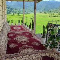 خانه ویلایی روبه روی مزرعه وجنگل|اجارهٔ کوتاه‌مدت ویلا و باغ|ماسال, |دیوار