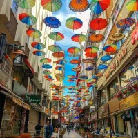 از دم قسط برو سفر خارجی