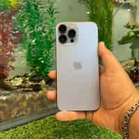 iPhone 13 promax