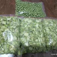 باقالی ونخودفرنگی لوبیا سبز