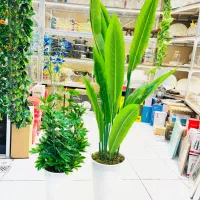 گلدان برگ یک متری و ۷۰سانتی در طرح های مختلف