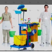 کارگر ساده خانم در نوکنده