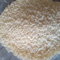 برنج بیرانشهر