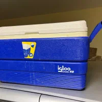 کلمن امریکایی اصل ایکو