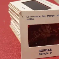 اسلایدهای خارجی کلکسیونی