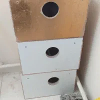 فروش لانه عروس وقفس