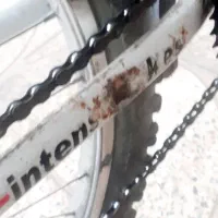 دوچرخه ۲۶ اینتنس (اسپرت قدیم)|دوچرخه، اسکیت، اسکوتر|یاسوج, |دیوار