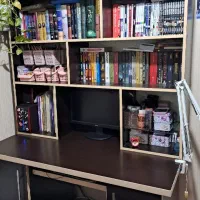 تخت یک و دونفره و پاتختی و کتابخانه و میز کار|تخت و سرویس خواب|رشت, سعدی (تختی)|دیوار