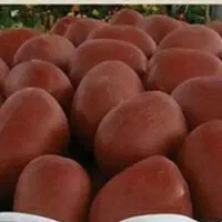 طراحی و ساخت هفت سین ۱۴۰۵.نماد اسب.و سین ها