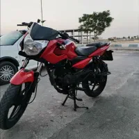 پالس 135