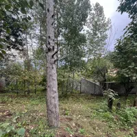 فروش زمین ۳۶۵ متر|فروش زمین و ملک کلنگی|توتکابن, |دیوار