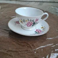 ظروف پذیرایی