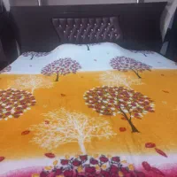 سرویس خواب|تخت و سرویس خواب|اصفهان, شمس آباد|دیوار