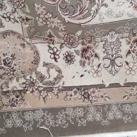 فرس ۱۲متری