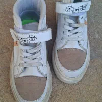 کفش نو|کیف، کفش، کمربند|ماکو, |دیوار