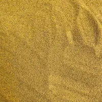 بذر یونجه|گل و گیاه طبیعی|میاندوآب, |دیوار