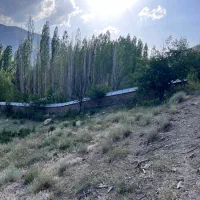 زمین کشاورزی قابل ساخت تا ۵۰ الی ۶۰ متر|فروش زمین و ملک کلنگی|بلده, |دیوار