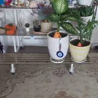 شلف زمینی آهنی|کتابخانه، شلف، قفسههای دیواری|اسلامشهر, شهرک واوان|دیوار