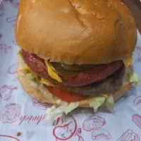 پیتزا زن و پاستا زن و سوخاری زن ظرف شویی