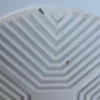 چراغ پنل سقفی ۳۰وات برند نما نور|لامپ و چراغ|سنندج, |دیوار