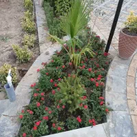 خدمات کلیه باغبانی گلکاری باغچه کاری هرس‌کاری درخت
