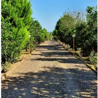 نیاز به سرایدار
