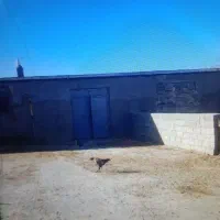 سالن دامداری