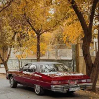 نیازمندپولیش کاربه صورت درصدی