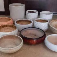 فروش گلدان گل|گل و گیاه طبیعی|تهران, شمس‌آباد|دیوار