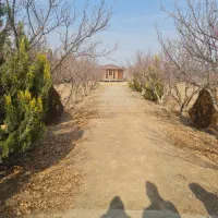 باغچه-1000متری-شهرکی-سهیلیه-زعفرانیه-نگین-سبز