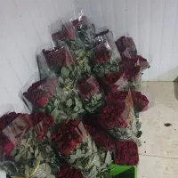 فروش گل به قیمت عمده