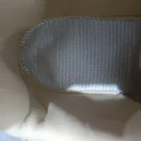 کتونی نایک وی تو کی|کیف، کفش، کمربند|صفادشت, |دیوار