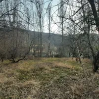 فروش زمین محصور|فروش زمین و ملک کلنگی|آستارا, |دیوار