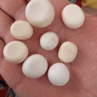 سنگ آسیاب