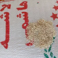 برنج هاشمی ممتاز شمال بشرط پخت درجه ۱|عمدهفروشی|اردبیل, |دیوار