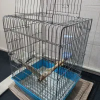 قفس پرنده|لوازم جانبی حیوانات|تهران, جوادیه|دیوار