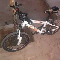 دوچرخه ۲۰ فلش|دوچرخه، اسکیت، اسکوتر|جغتای, |دیوار