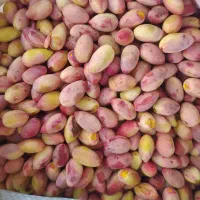 پسته مه ولات درجه یک