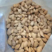 بادام خوب